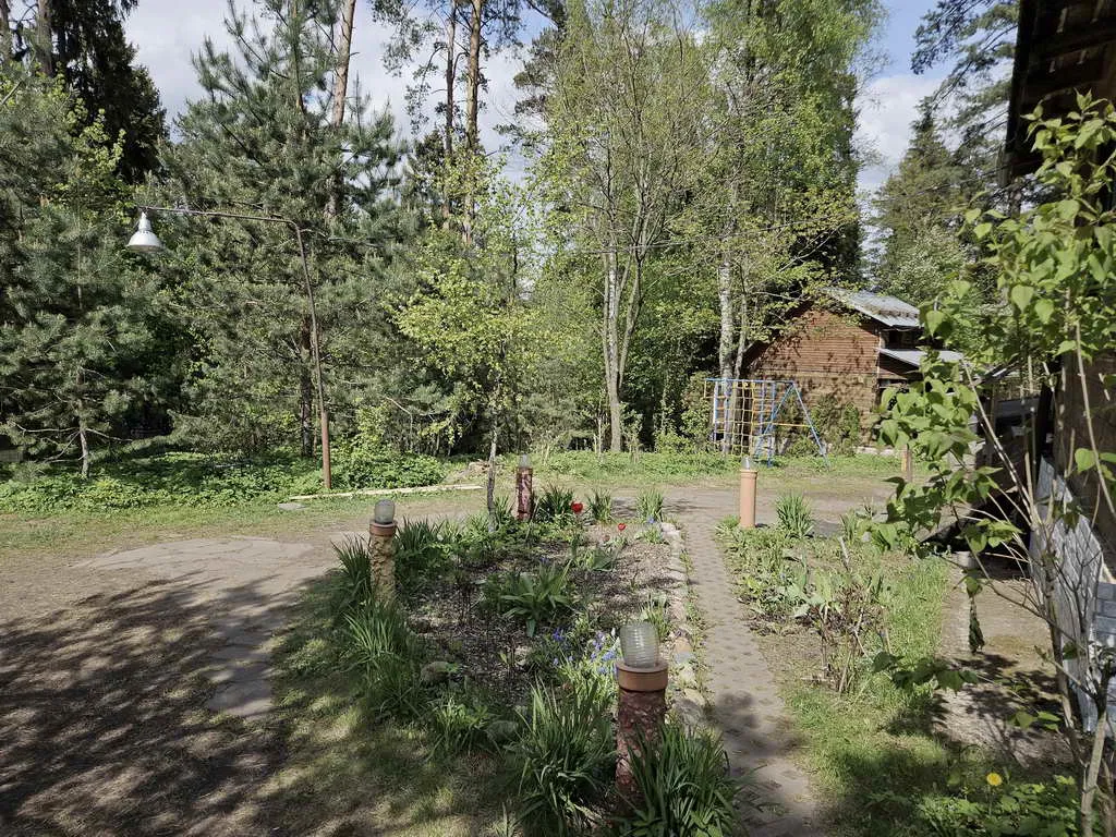 Дача из сруба в лесу, фото 11