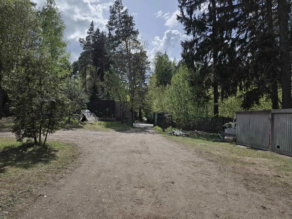 Дача из сруба в лесу, фото 15
