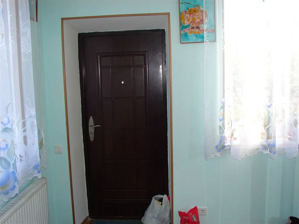 Дом с зелёной крышей, фото 8