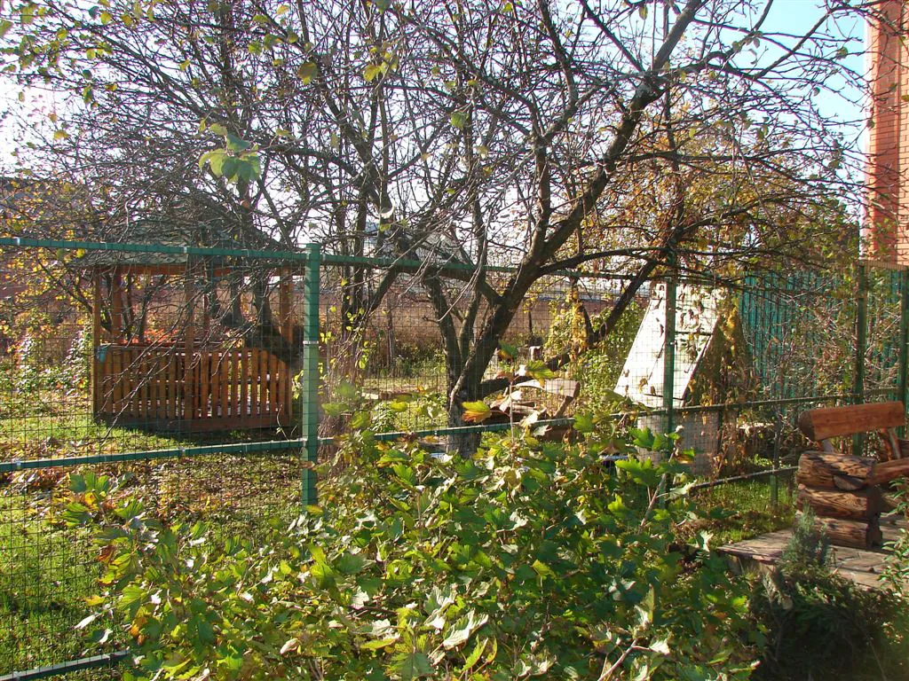 Дом с зелёной крышей, фото 6