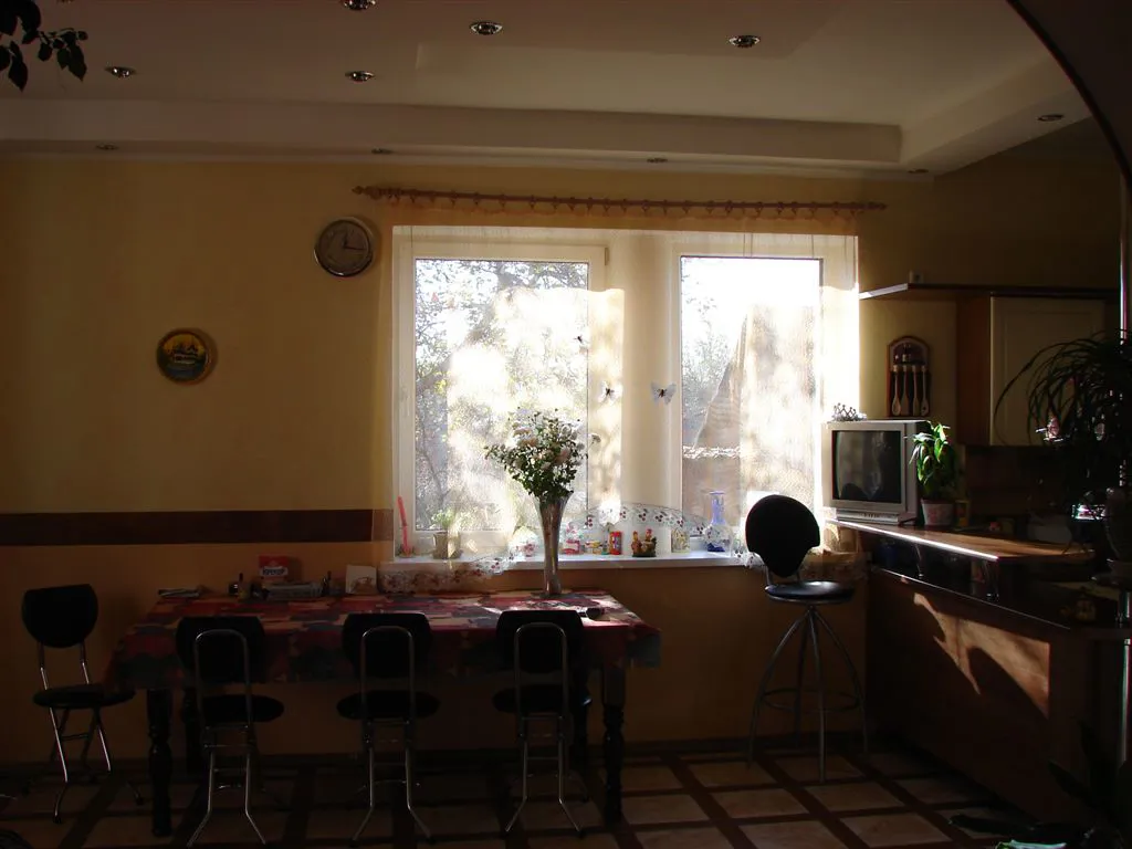 Дом с зелёной крышей, фото 15