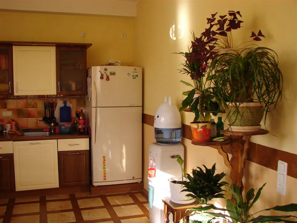 Дом с зелёной крышей, фото 19