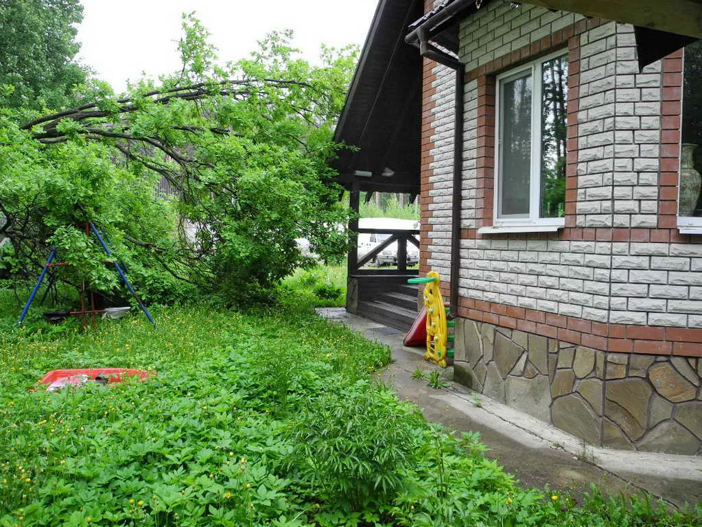Дача в лесной глуши, фото 14