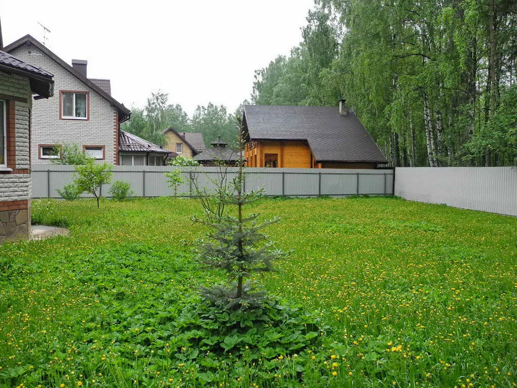 Дача в лесной глуши, фото 13