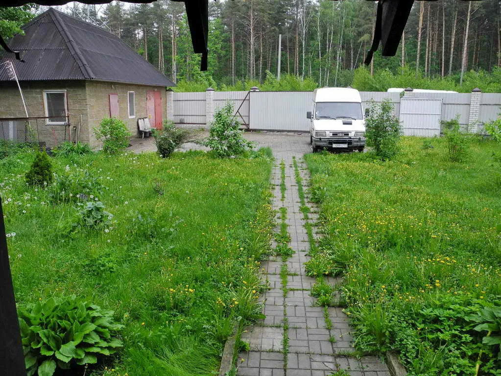 Дача в лесной глуши, фото 17
