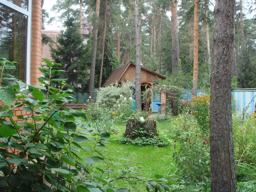 Дача с оранжевым забором, фото 12