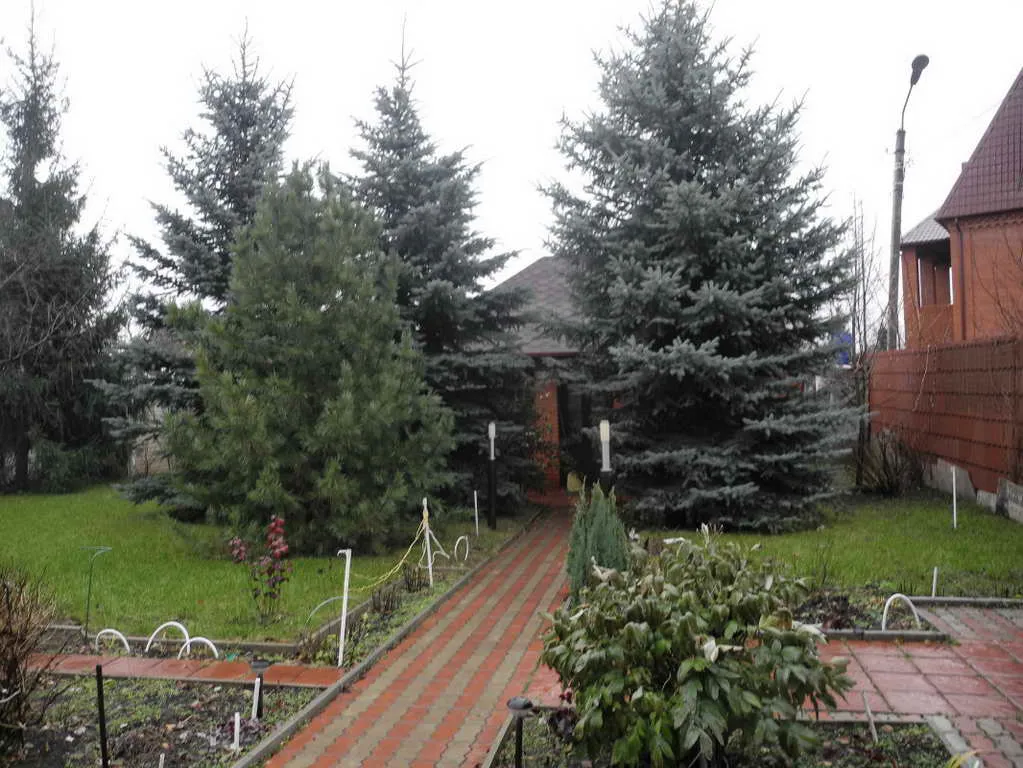 Дача на опушке, фото 9