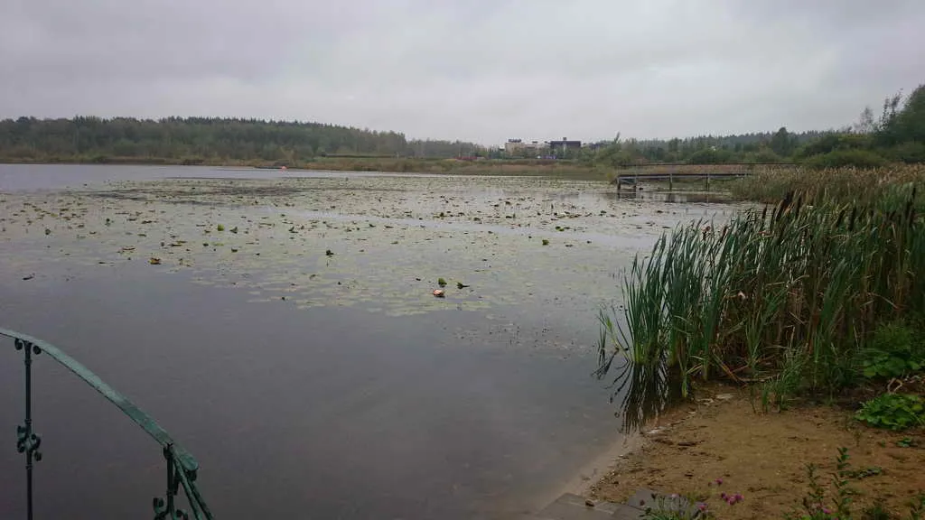 Дача с арками, фото 24