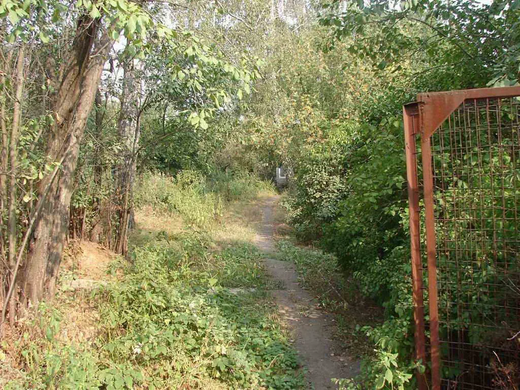 Дача в лесном овраге, фото 9