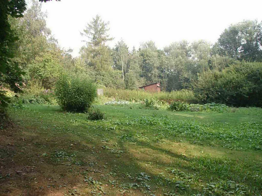 Дача в лесном овраге, фото 20