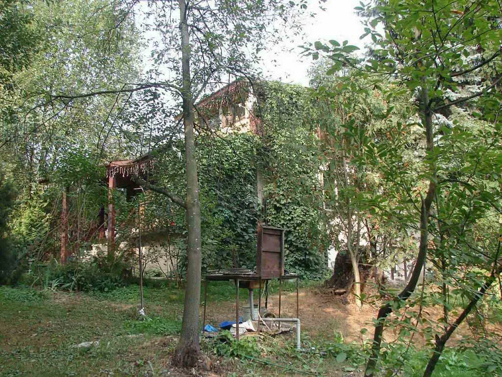 Дача в лесном овраге, фото 22