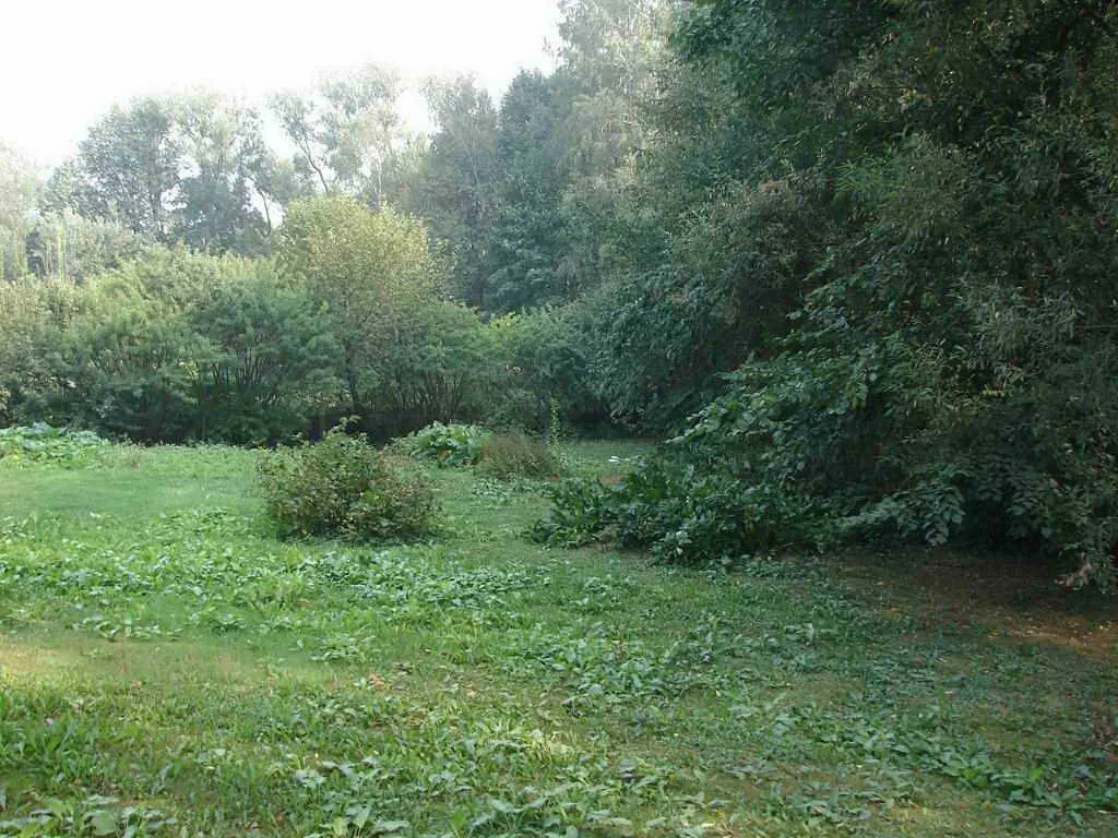 Дача в лесном овраге, фото 21