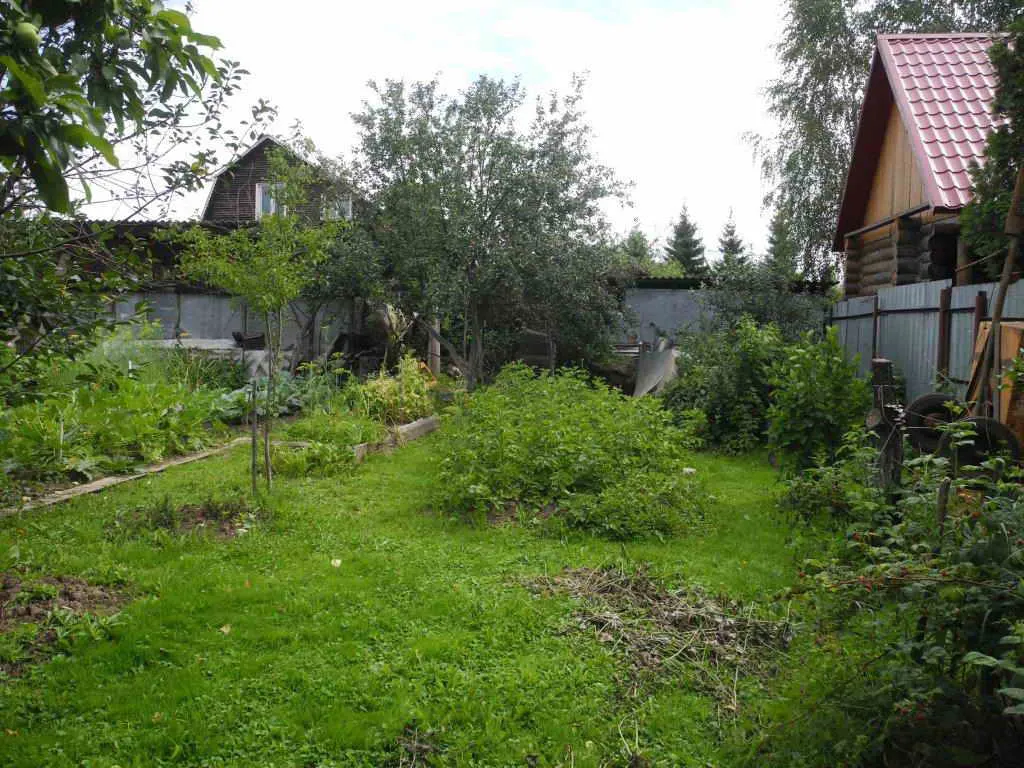 Дача с красным забором, фото 12