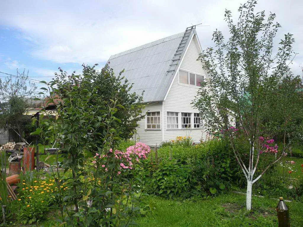 Дача с красным забором, фото 11