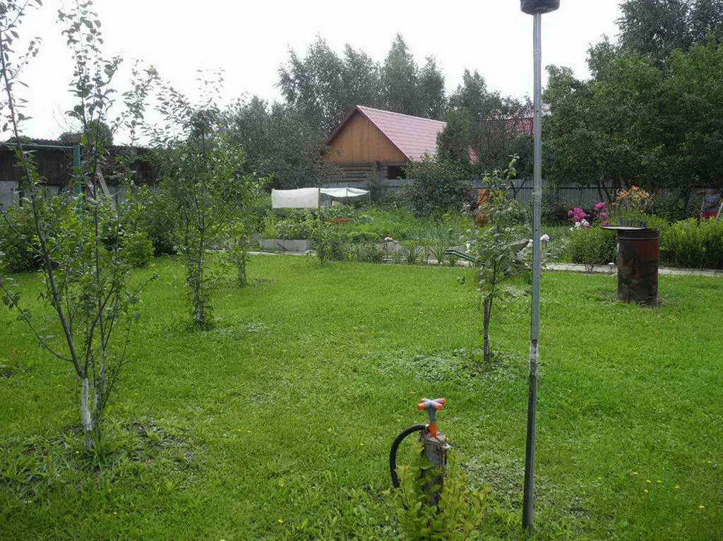 Дача с красным забором, фото 16