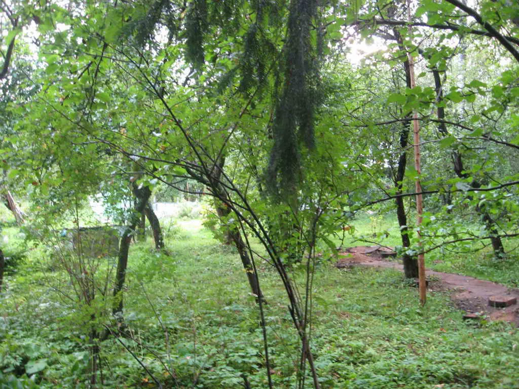 Дача Кирпичные Узоры, фото 6