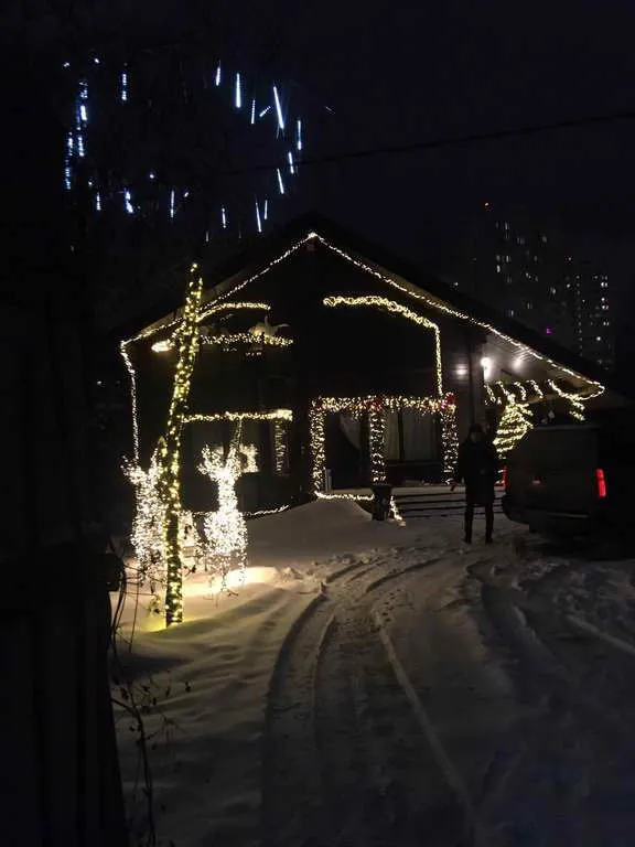 Резной дом со сказочной подсветкой, фото 1