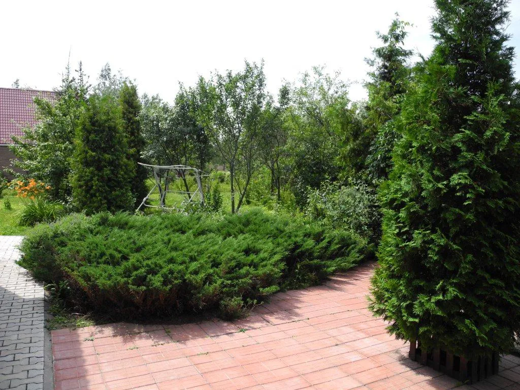 Дом с кованым забором, фото 3