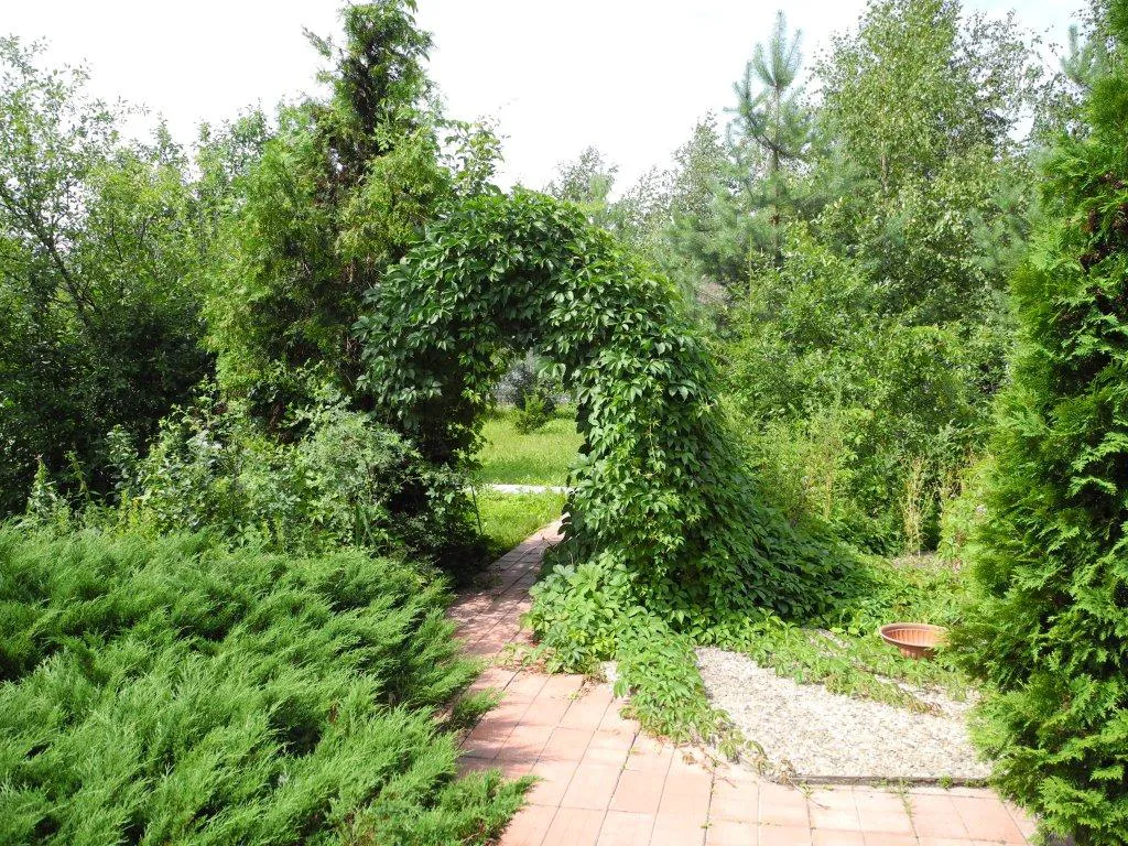 Дом с кованым забором, фото 4