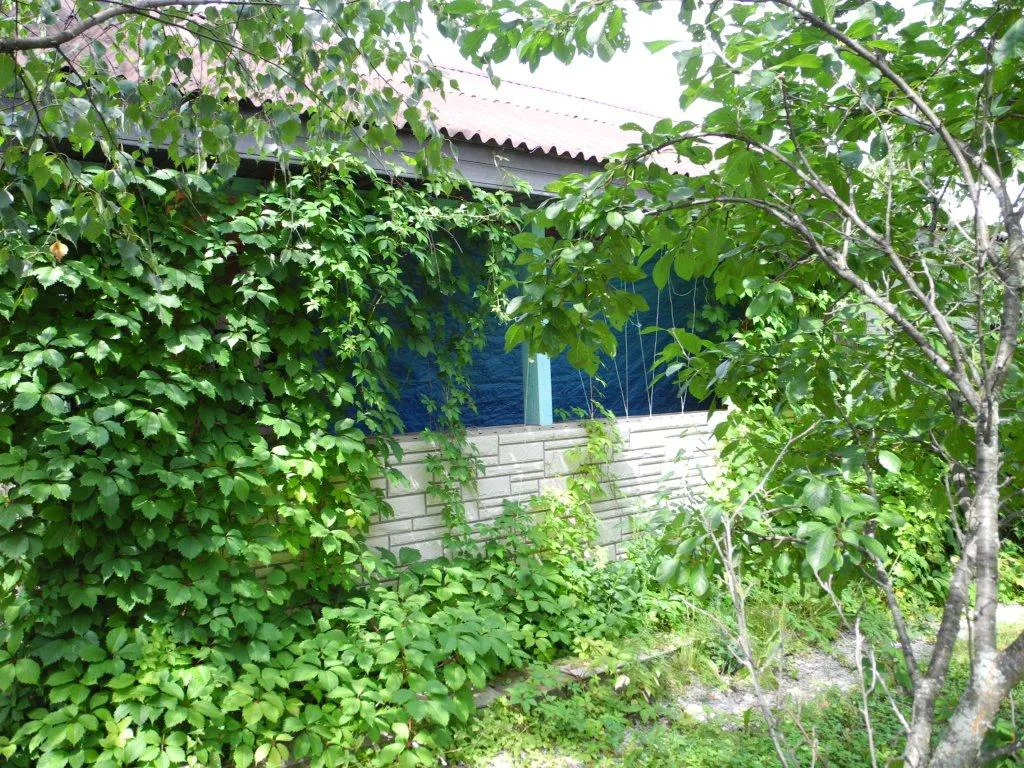 Дом с кованым забором, фото 13