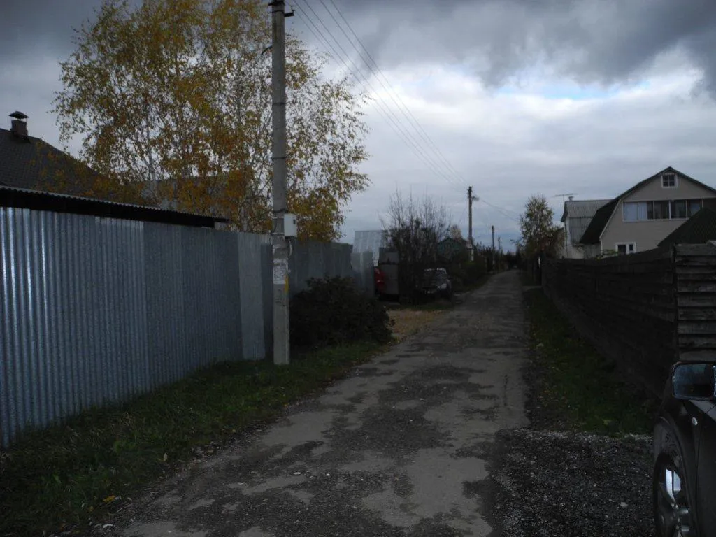 Дача с жёлтой берёзой, фото 1