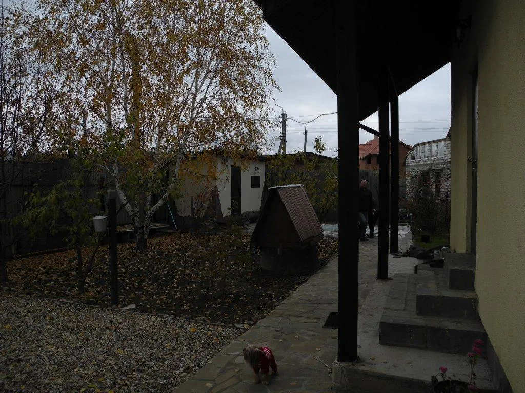 Дача с жёлтой берёзой, фото 5