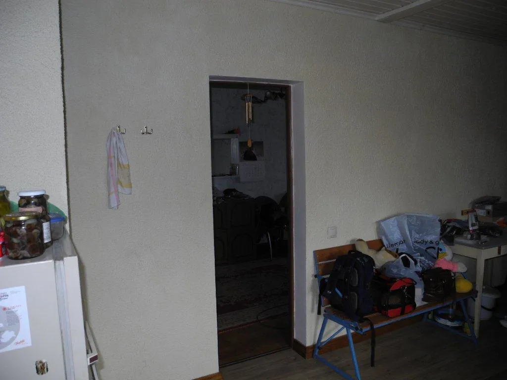 Дача с жёлтой берёзой, фото 24