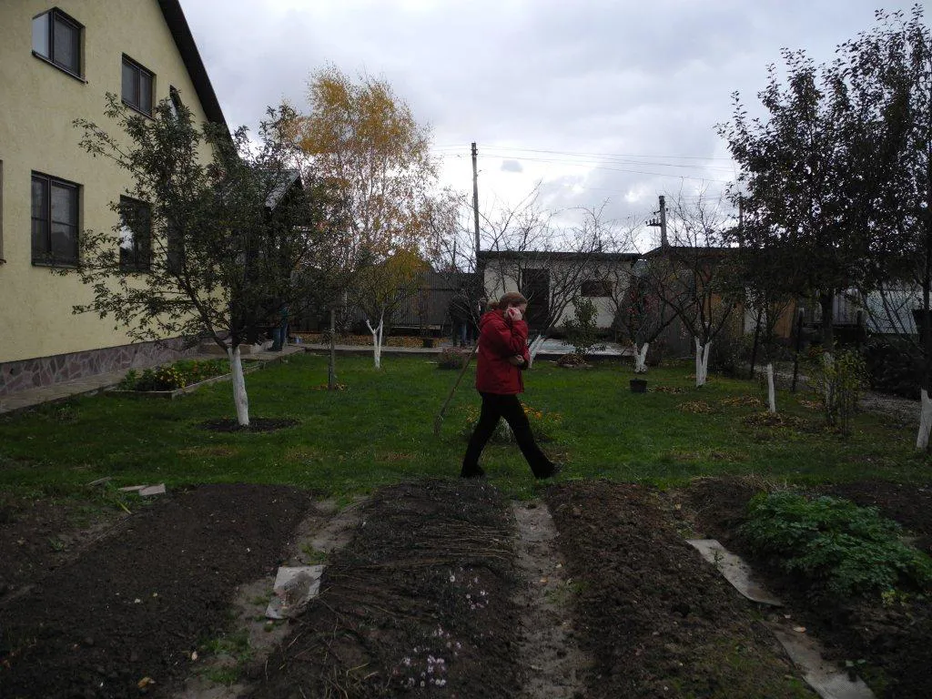 Дача с жёлтой берёзой, фото 10