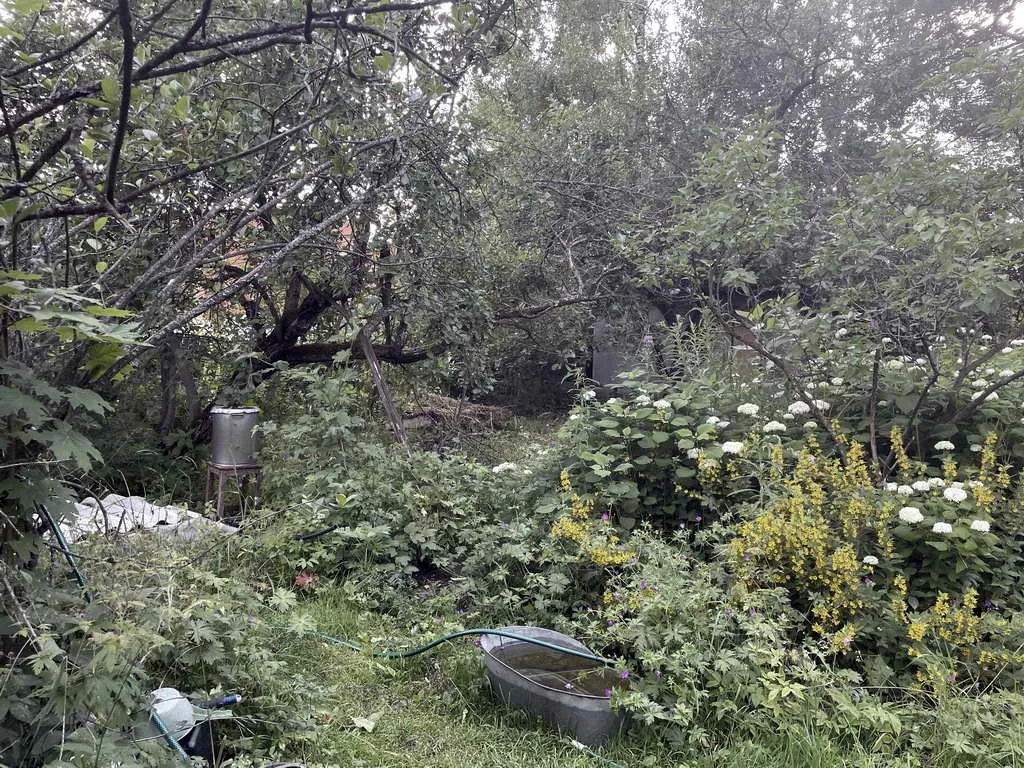 Старая дача в лесу, фото 11