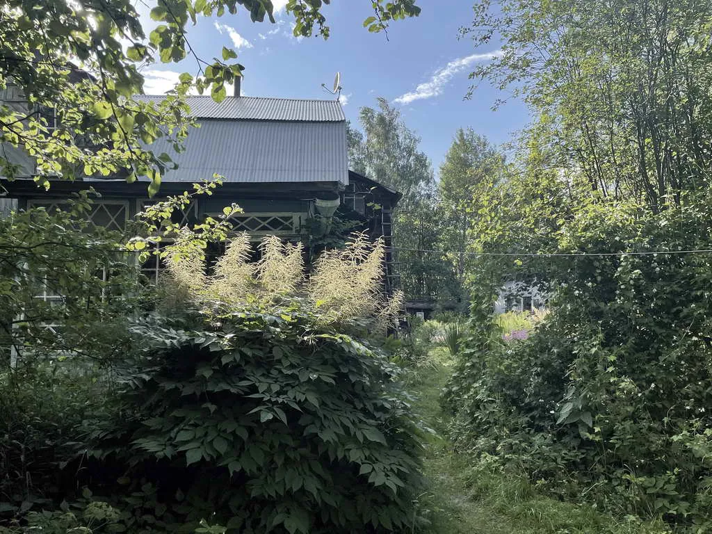 Старая дача в лесу, фото 4