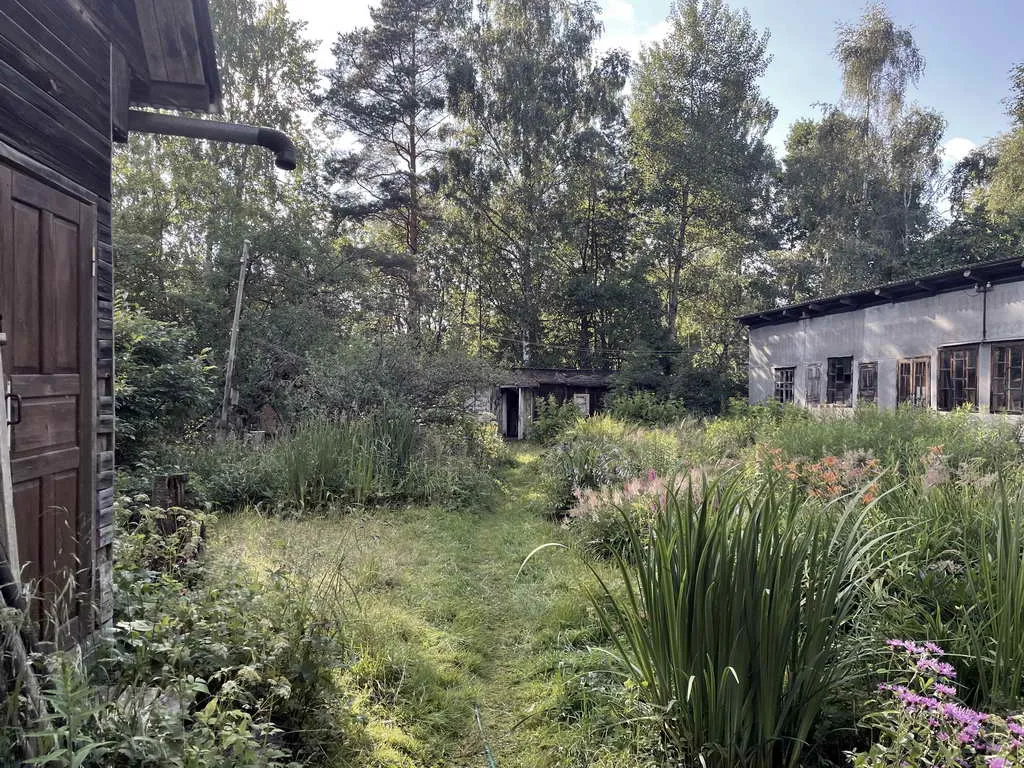 Старая дача в лесу, фото 9