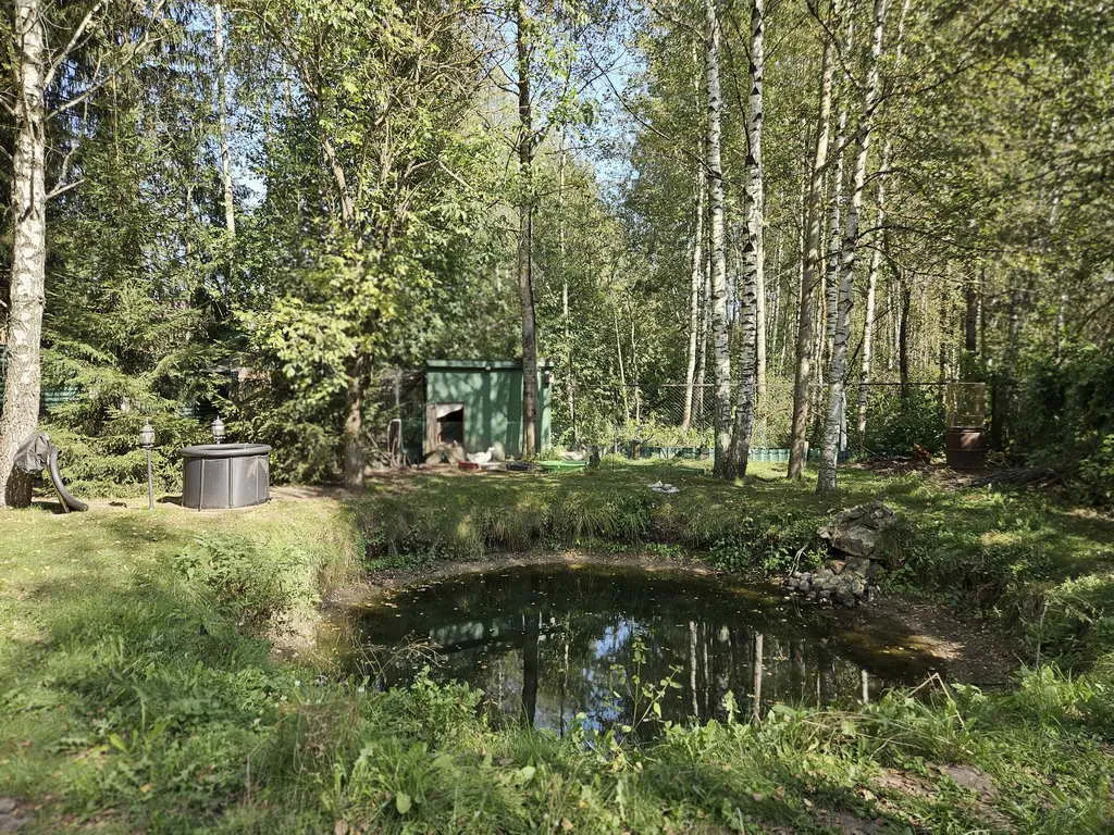 Дача Плетеная беседка, фото 19