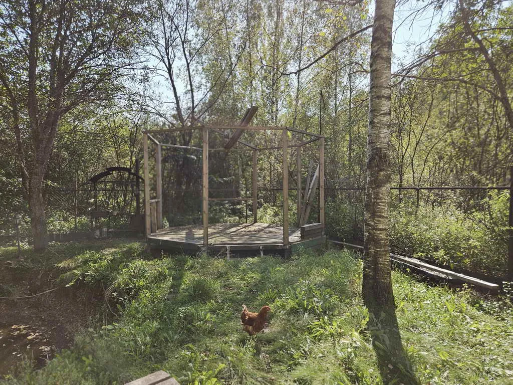 Дача Плетеная беседка, фото 16