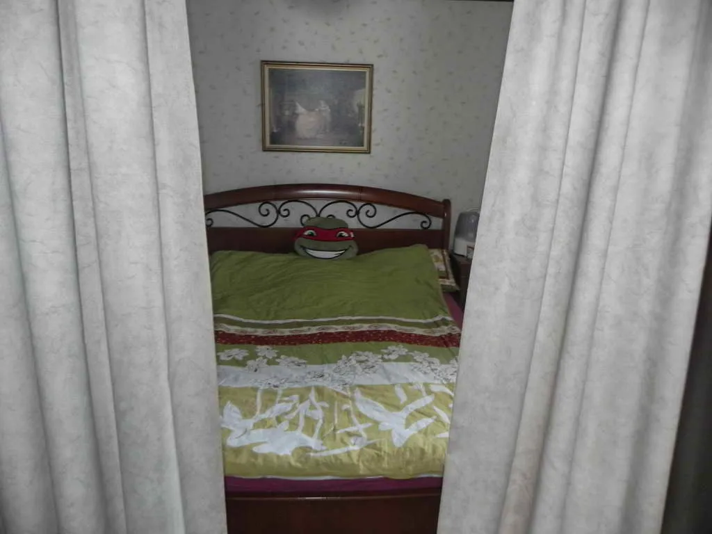Большой дом с беседкой, фото 11