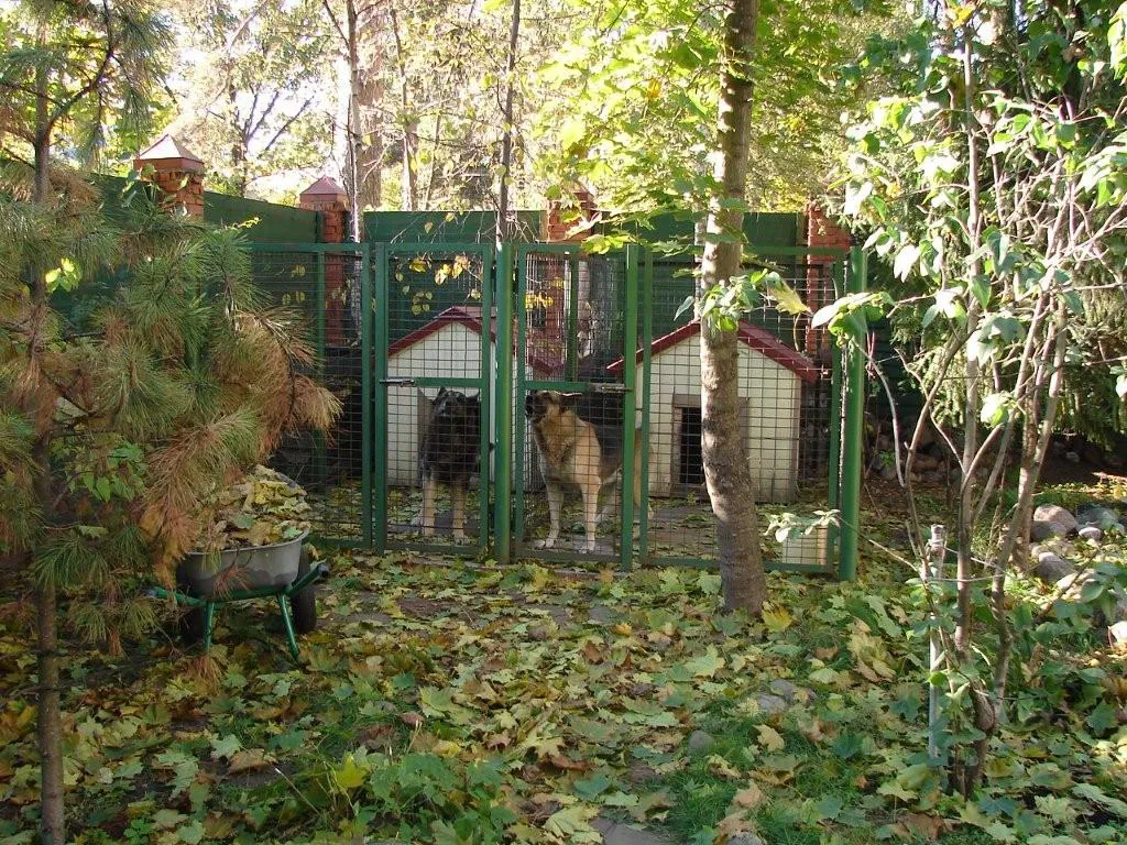 Дача, Красные Ворота, фото 6