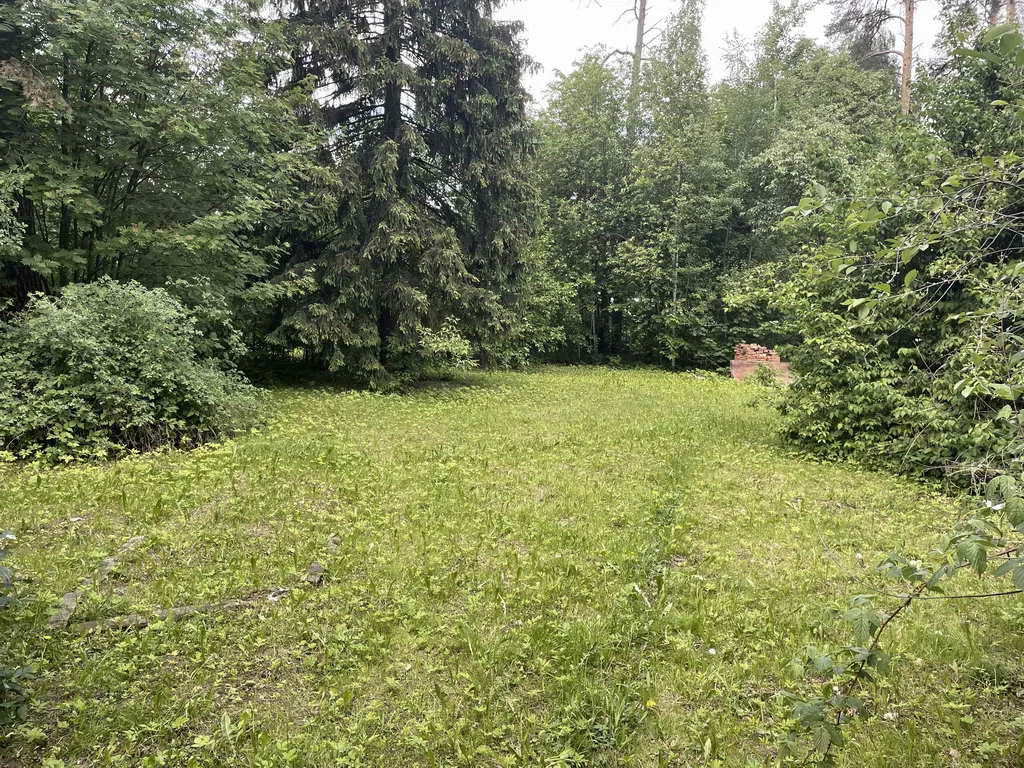 Дача с красным срубом, фото 6