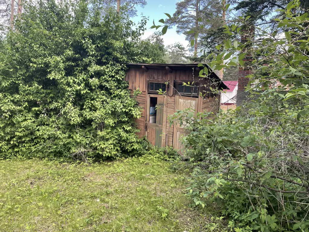 Дача с красным срубом, фото 8
