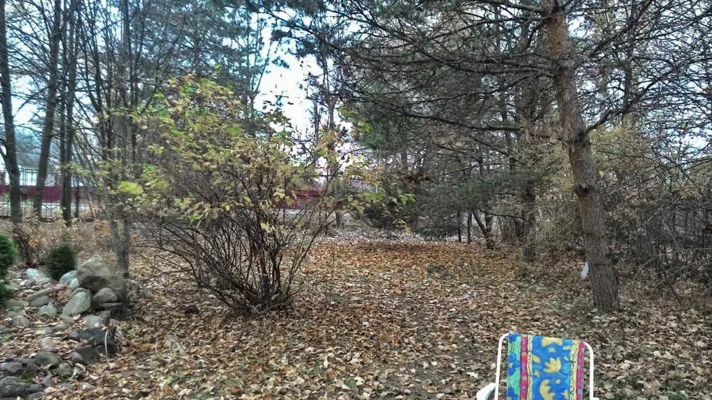 Дача с готическими окнами, фото 18