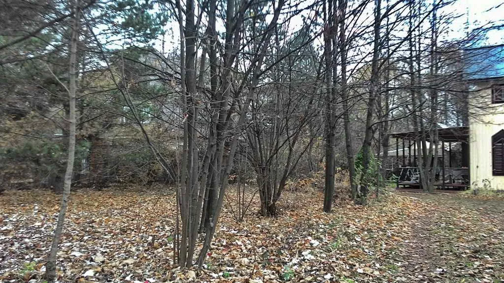 Дача с готическими окнами, фото 9