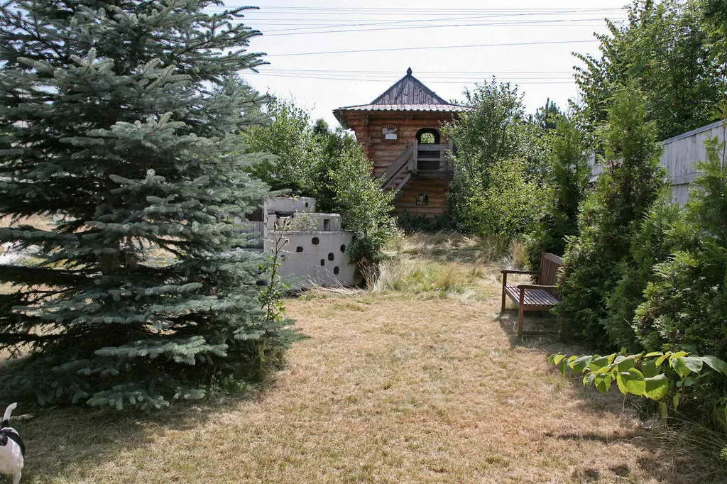 Дача в Лесу с домиком, фото 4