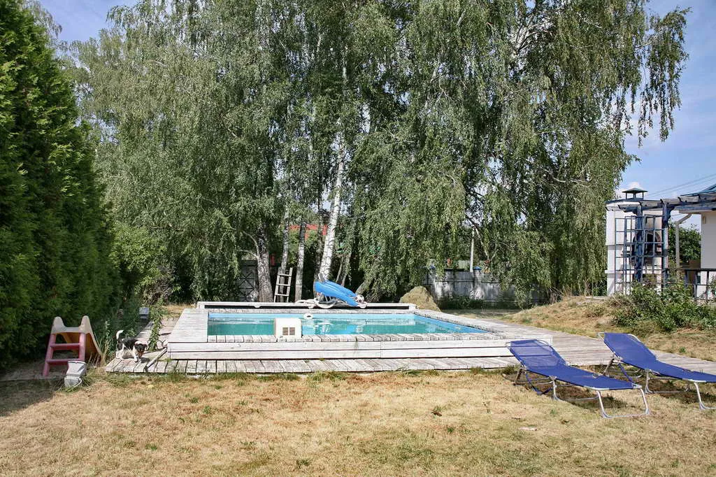 Дача в Лесу с домиком, фото 8