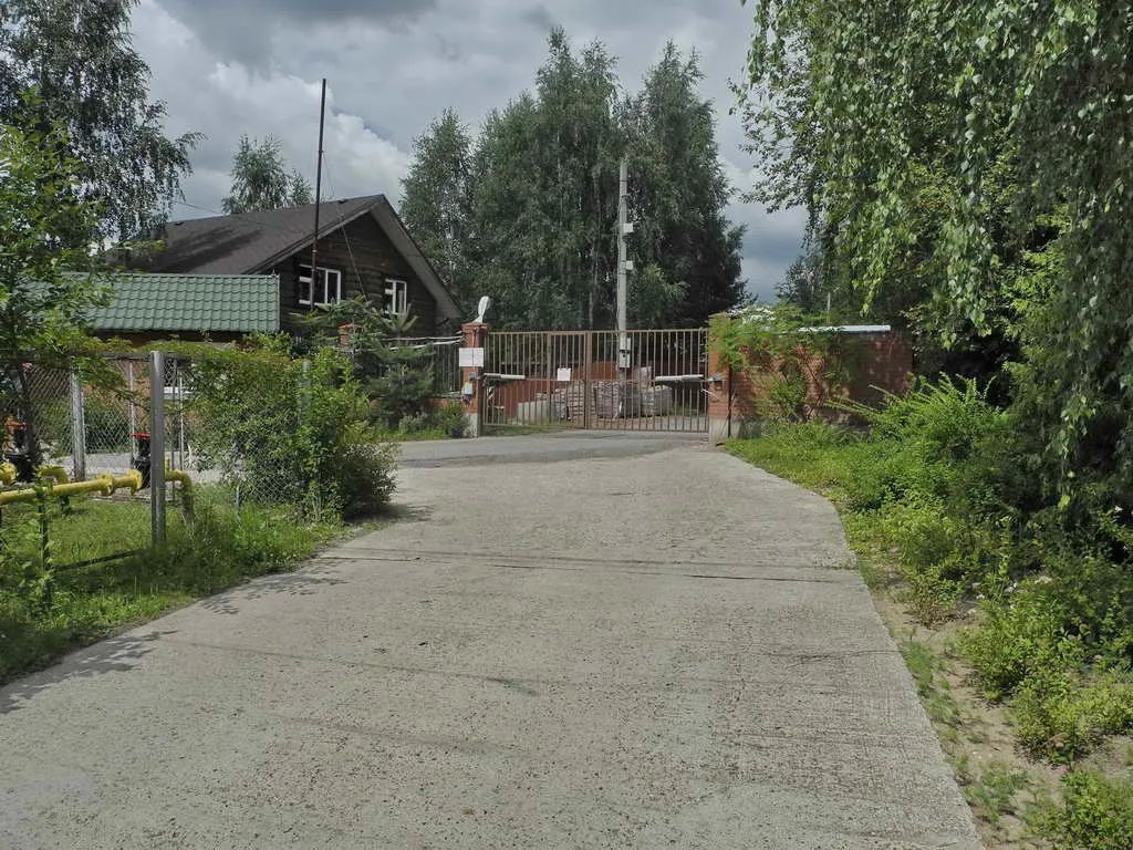 Дом в тени деревьев, фото 1