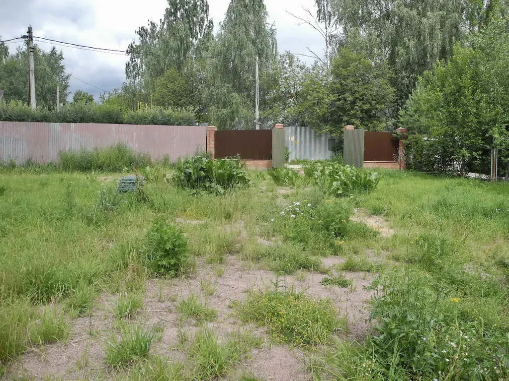 Дом в тени деревьев, фото 7