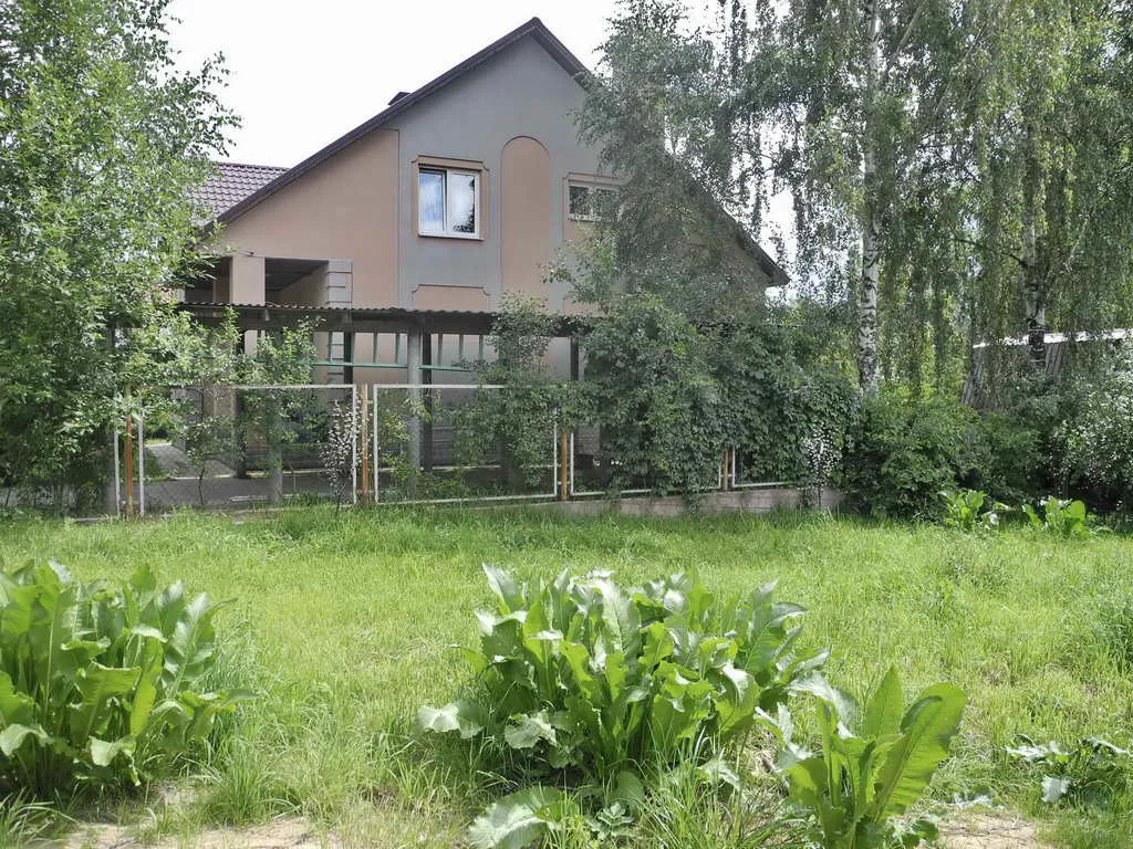 Дом в тени деревьев, фото 5