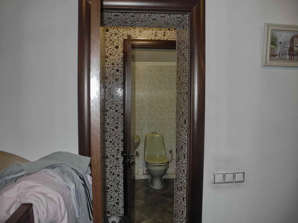 Дом в тени деревьев, фото 20