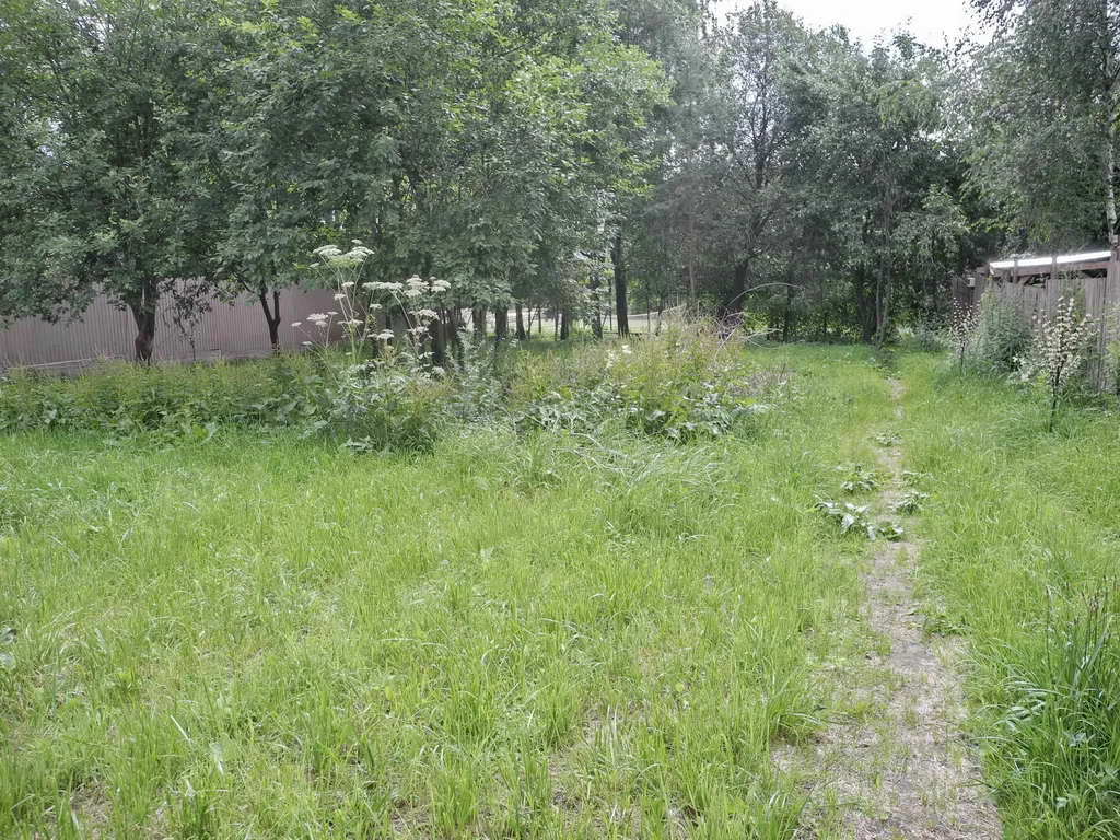 Дом в тени деревьев, фото 8