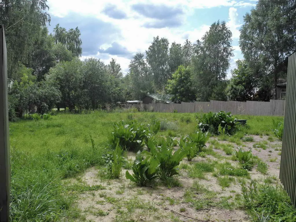 Дом в тени деревьев, фото 3