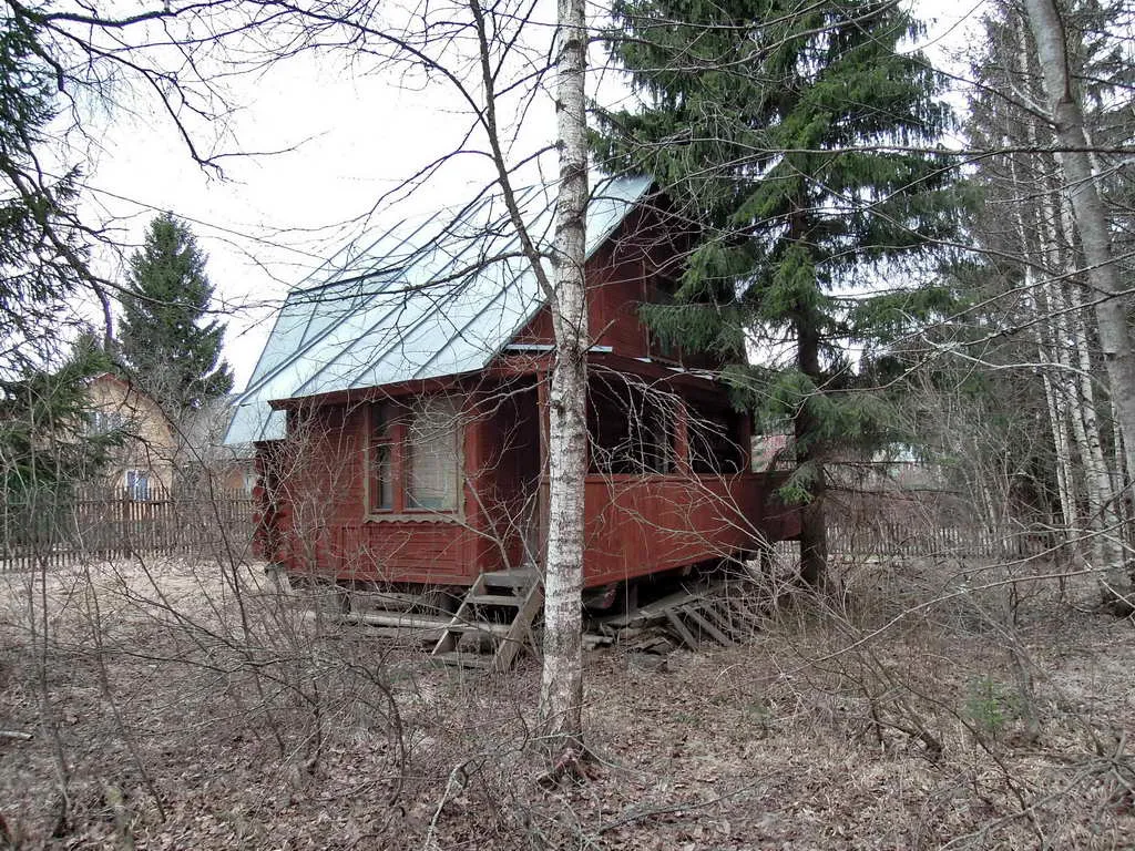 Дача у леса на опушке, фото 17