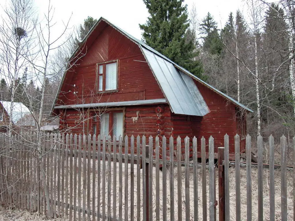 Дача у леса на опушке, фото 6