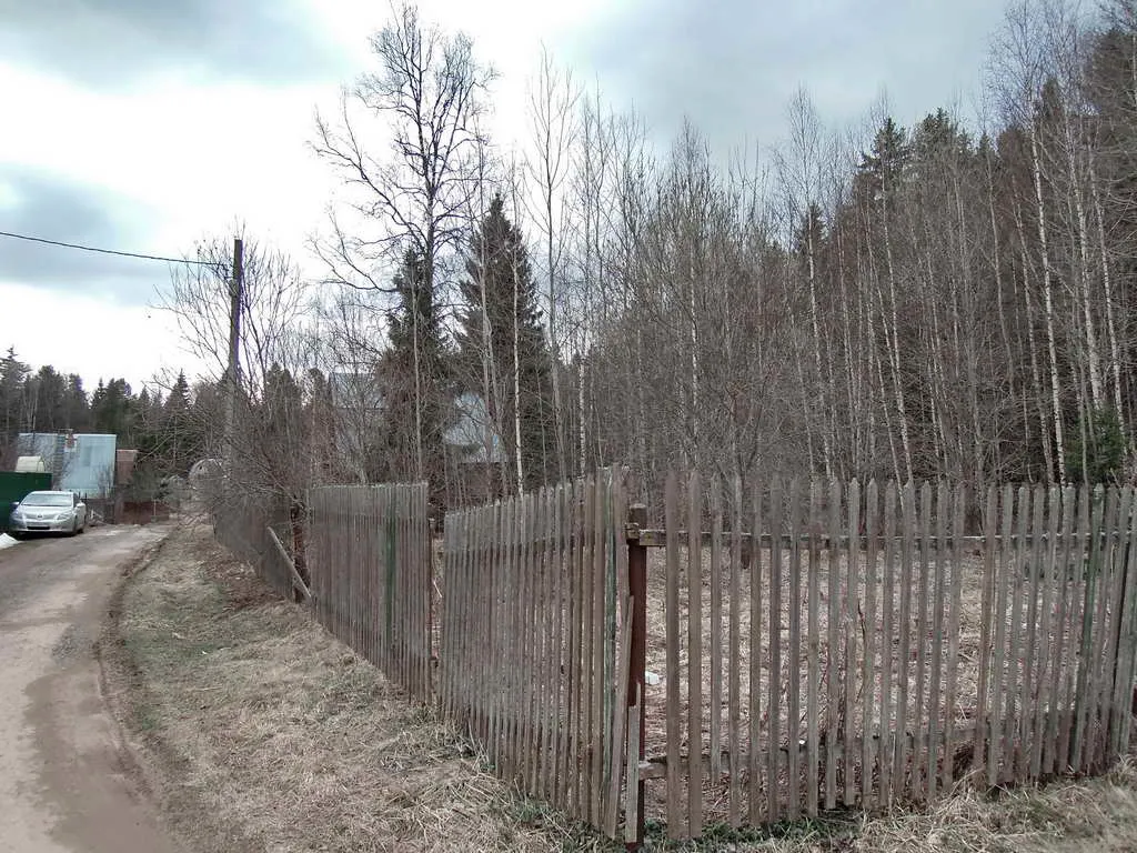 Дача у леса на опушке, фото 1